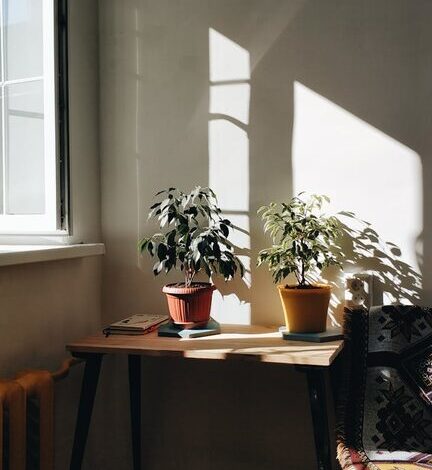 Simple Decor Changes to Create a Relaxing Home Environment