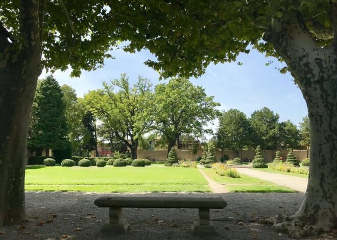 Tips for Creating a Relaxing Outdoor Space in Your Garden