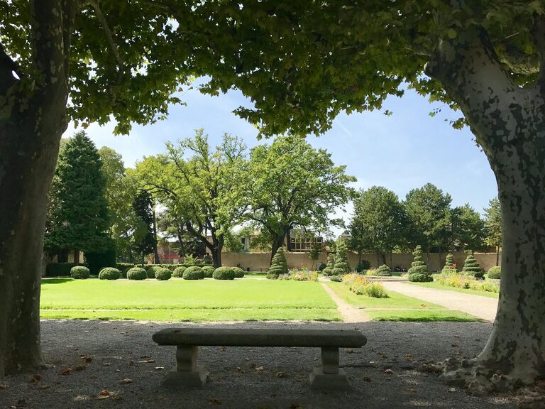 Tips for Creating a Relaxing Outdoor Space in Your Garden